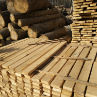 烘干白杨木 原木 导热系数低支持定制蒸汽烘干热压杨木